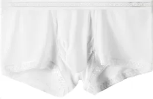 Men's underwear breathable panties sexy men's ice silk cool